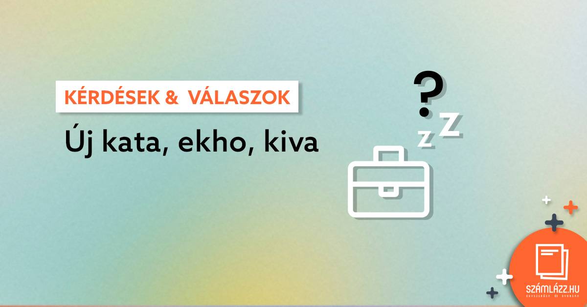 ekho_új_kata_kiva_blogcikk